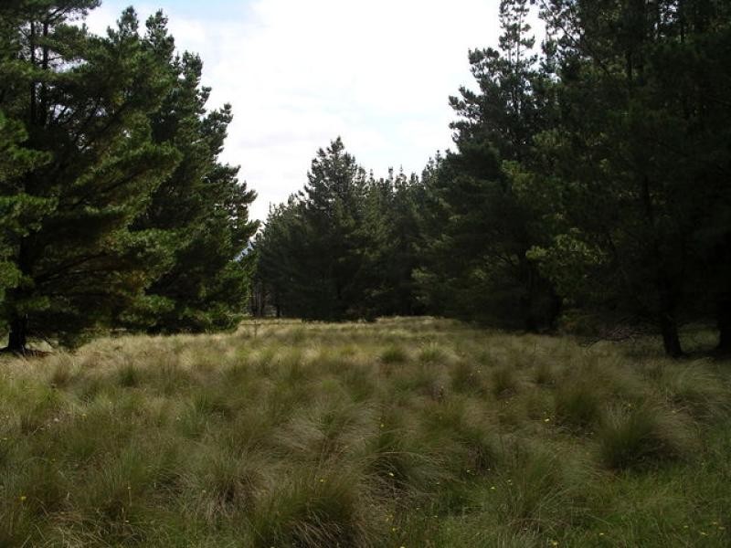 Kain Cross  Road BRAIDWOOD 2622, Braidwood NSW 2622
