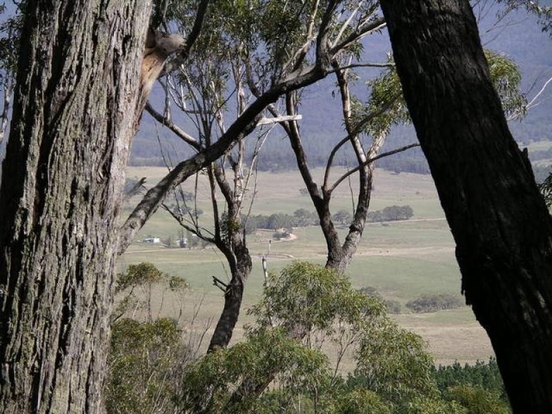 Kain Cross  Road BRAIDWOOD 2622, Braidwood NSW 2622
