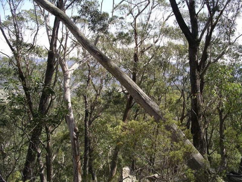 Kain Cross  Road BRAIDWOOD 2622, Braidwood NSW 2622