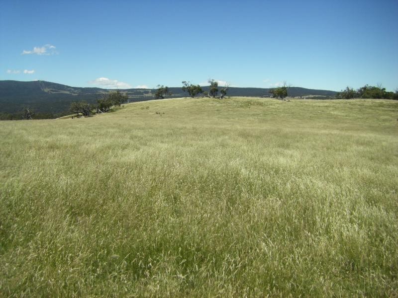 Bredbo NSW 2626