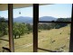 1323 Big Jack Mountain Road, Wyndham NSW 2550