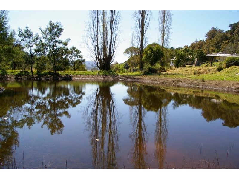 1323 Big Jack Mountain Road, Wyndham NSW 2550