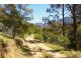 1323 Big Jack Mountain Road, Wyndham NSW 2550