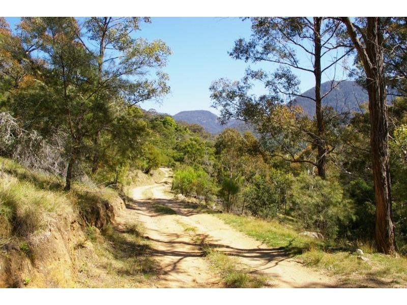 1323 Big Jack Mountain Road, Wyndham NSW 2550