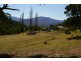 1323 Big Jack Mountain Road, Wyndham NSW 2550