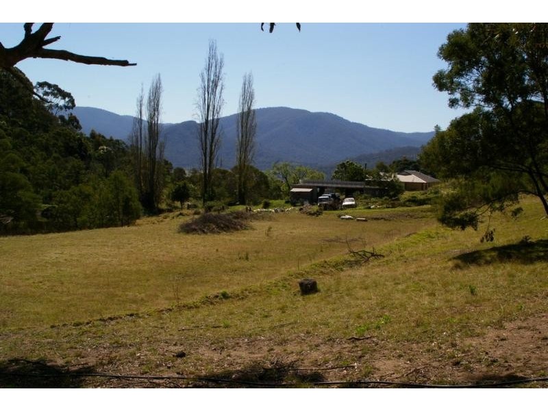1323 Big Jack Mountain Road, Wyndham NSW 2550