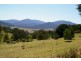 1323 Big Jack Mountain Road, Wyndham NSW 2550