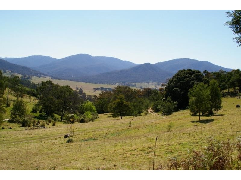 1323 Big Jack Mountain Road, Wyndham NSW 2550