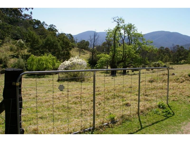 1323 Big Jack Mountain Road, Wyndham NSW 2550
