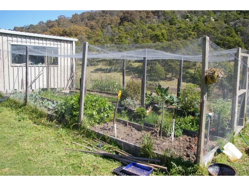 1323 Big Jack Mountain Road, Wyndham NSW 2550