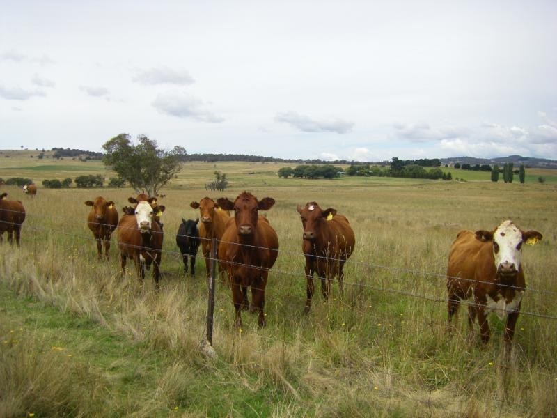 1837 Peak View Road, Bredbo NSW 2626