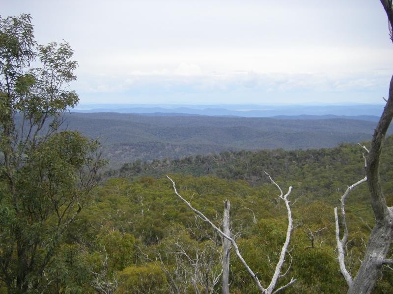 1837 Peak View Road, Bredbo NSW 2626