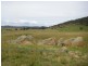 1837 Peak View Road, Bredbo NSW 2626
