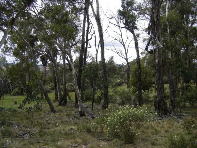 1837 Peak View Road, Bredbo NSW 2626