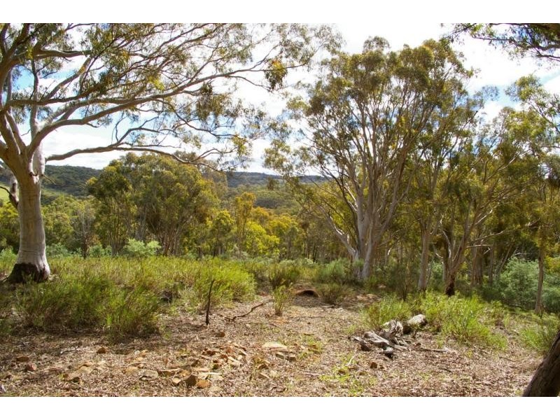 Lot 1 Greenwood Road, Murrumbateman NSW 2582