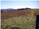 Lot 2 Tinderry Road, Captains Flat NSW 2623