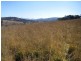 Lot 2 Tinderry Road, Captains Flat NSW 2623
