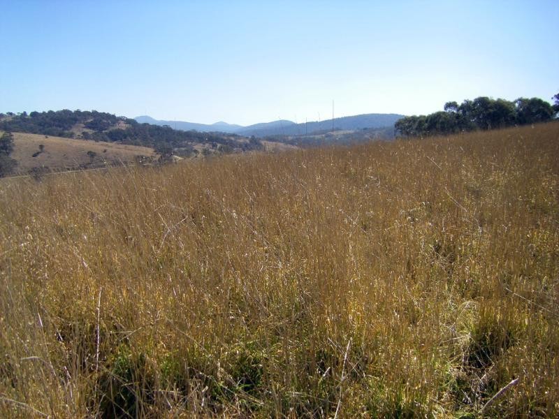Lot 2 Tinderry Road, Captains Flat NSW 2623