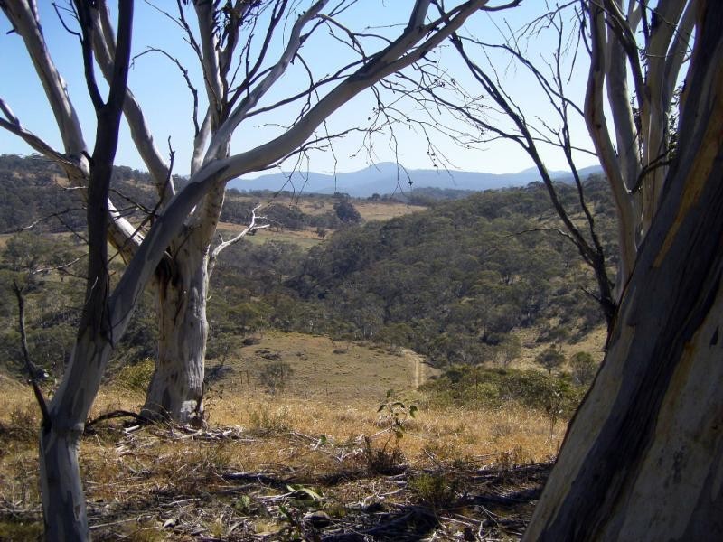 Lot 2 Tinderry Road, Captains Flat NSW 2623