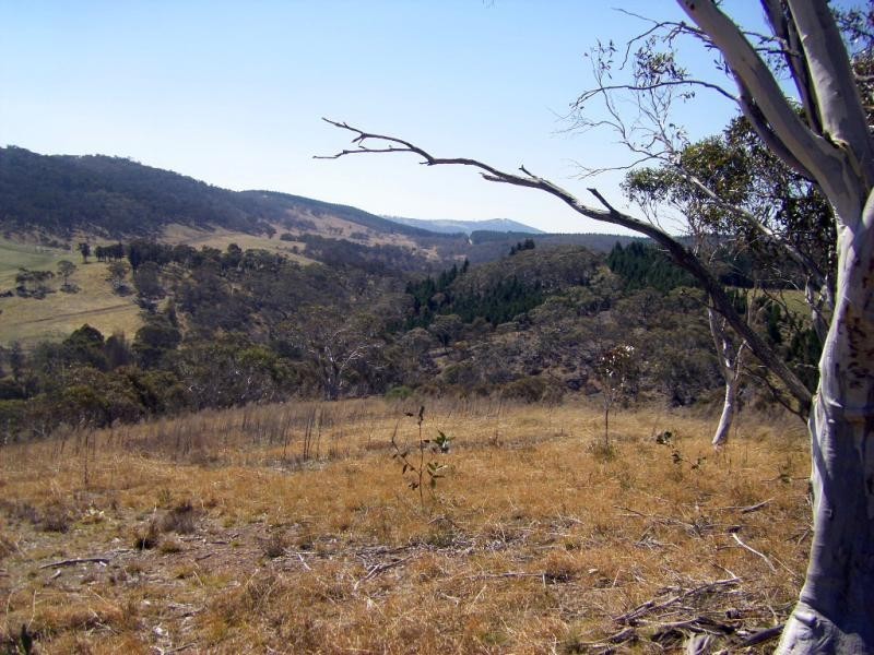 Lot 2 Tinderry Road, Captains Flat NSW 2623