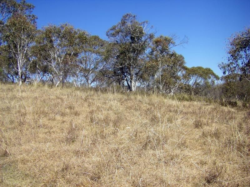 Lot 2 Tinderry Road, Captains Flat NSW 2623