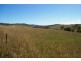 Lot 2 Tinderry  Road CAPTAINS FLAT 2623, Captains Flat NSW 2623