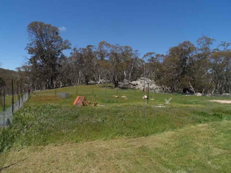 3060 Jerangle Road, Jerangle NSW 2630