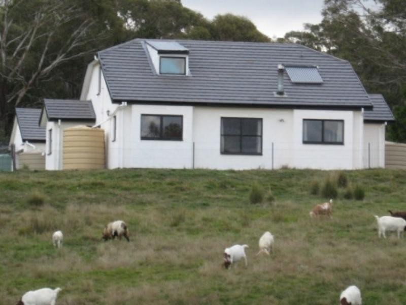 3060 Jerangle Road, Jerangle NSW 2630