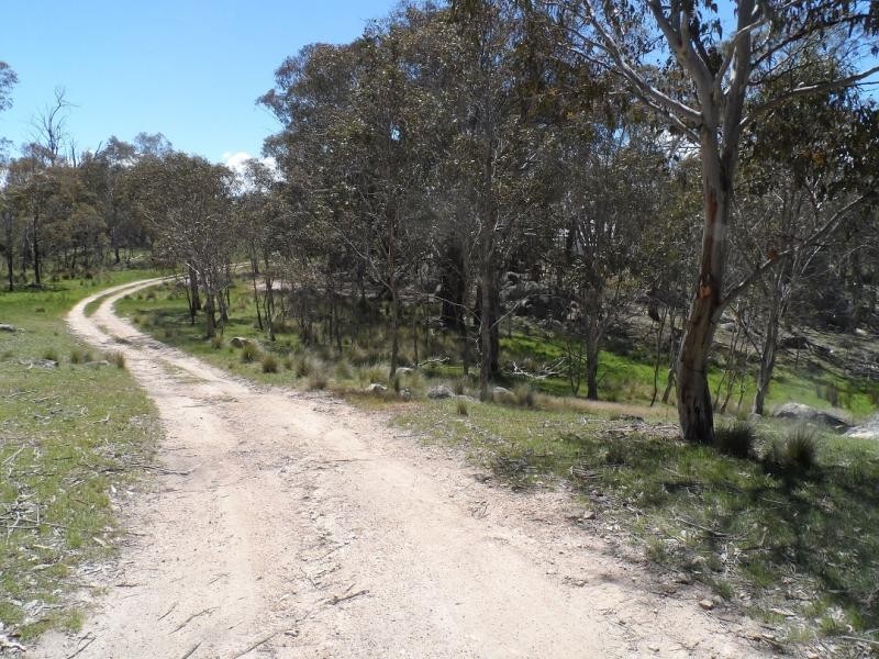 3060 Jerangle Road, Jerangle NSW 2630