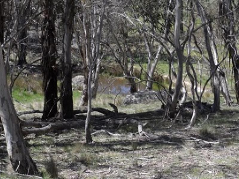 3060 Jerangle Road, Jerangle NSW 2630