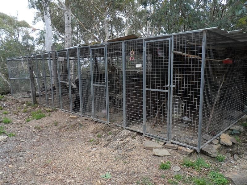 49 McTernan Road, Urila NSW 2620