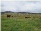 2039 Peak View Road, Peak View NSW 2630