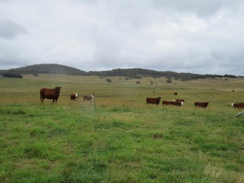 2039 Peak View Road, Peak View NSW 2630