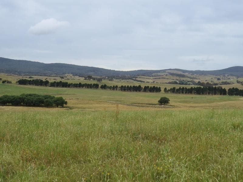 153 Rossi  Road, Rossi NSW 2621