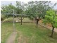 24 Collins  Street, Queanbeyan NSW 2620
