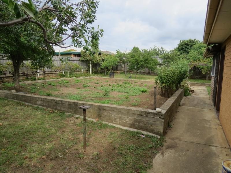 24 Collins  Street, Queanbeyan NSW 2620