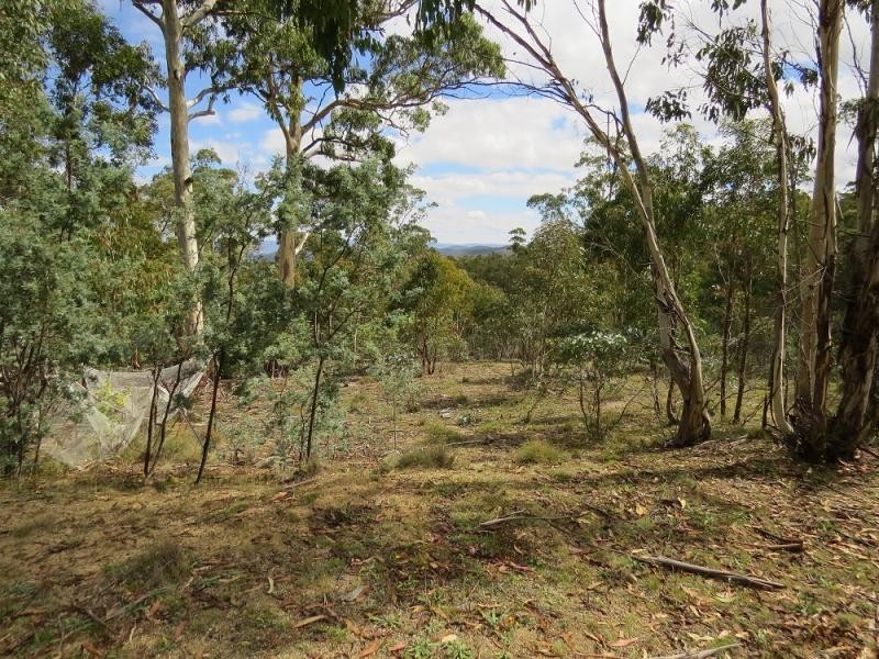 3026 Peak View Road, Jerangle NSW 2630