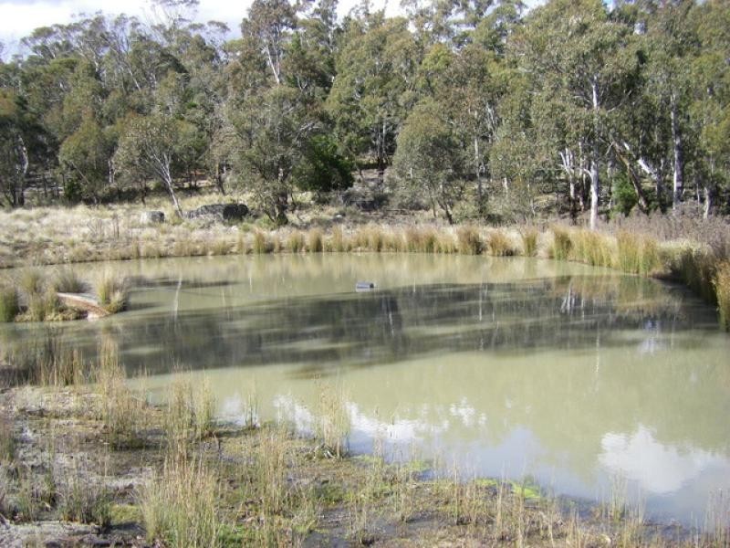 3026 Peak View Road, Jerangle NSW 2630