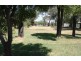 44 Goddard Street, Coolah NSW 2843