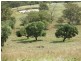 Coolah NSW 2843