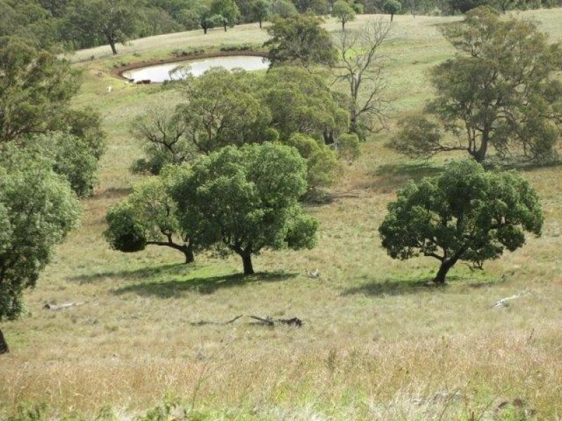 Coolah NSW 2843
