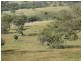 Coolah NSW 2843