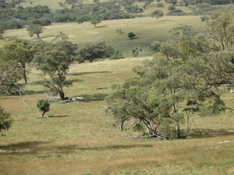 Coolah NSW 2843