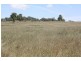 Coolah NSW 2843