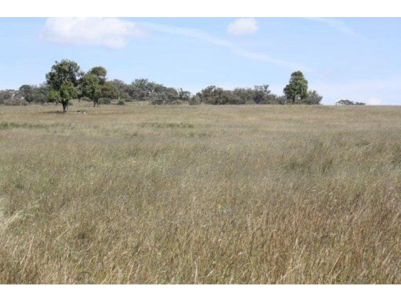 Coolah NSW 2843
