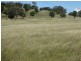 Coolah NSW 2843