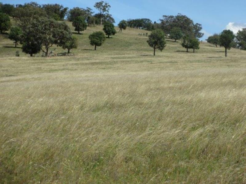 Coolah NSW 2843
