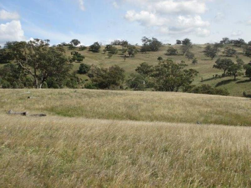 Coolah NSW 2843