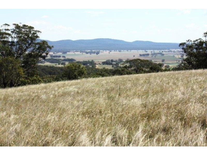 Coolah NSW 2843