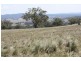 Coolah NSW 2843